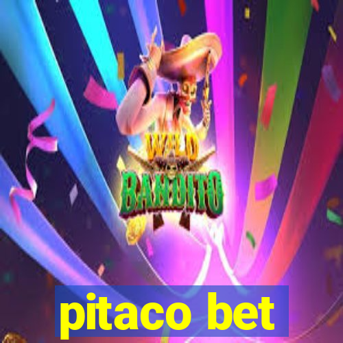 pitaco bet